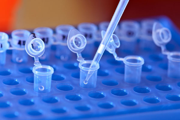 Chemists Provide Solutions Chemical Industry