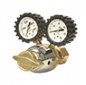 Gas Regulators Catalog 31