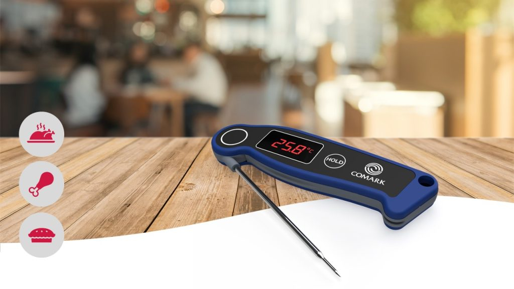 P19W Folding Thermometer
