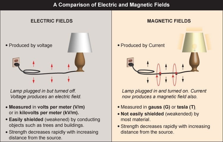 Electric and Magnetic Fields