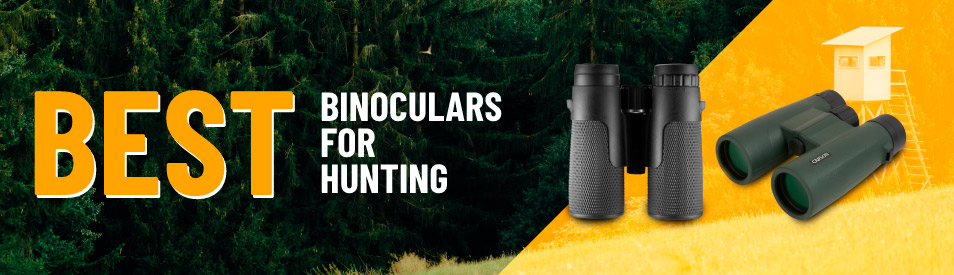 Best Binoculars For Hunting