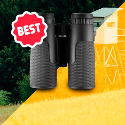 Best Binoculars For Hunting