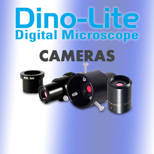 Dino-Lite Cameras