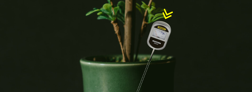 How To Use The Moisture Meter?
