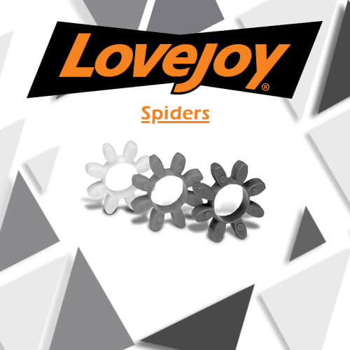 Lovejoy Spiders