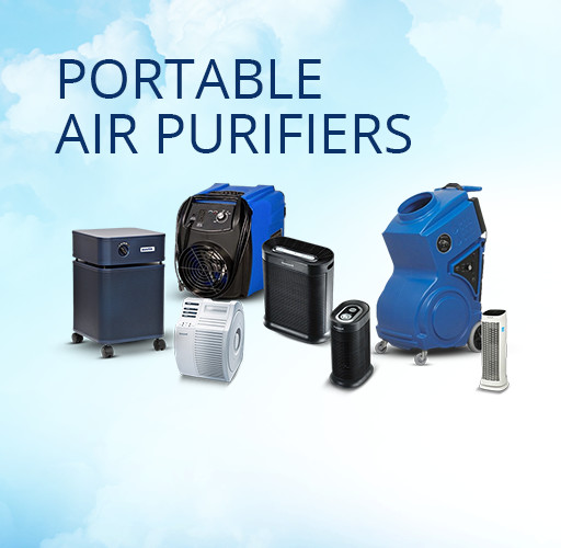 Portable Air Purifiers