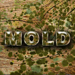 Mold Inspection Using Particle Counters