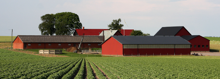 Agriculture & Forestry logotype 83