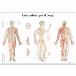 Chart "Agopuntura Per Il Corpo"_noscript