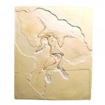 Archaeopteryx Lithographica, Replica_noscript