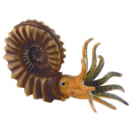 Ammonite, model_noscript