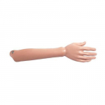 Spare Forearm Model with Hand, Right