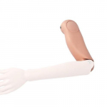Spare Forearm Model with Hand, Left