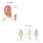 Acupuncture Charts, Ear and Body_noscript