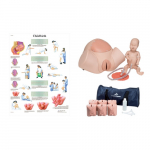 Birthing Simulator & Stages Kit_noscript