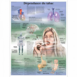 Chart "Dependance du Tabac", French, Paper_noscript