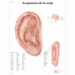Chart "Acupuntura de La Oreja", Spanish, Paper_noscript