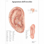 Chart "Agopuntura Dell'orecchio", Italian_noscript