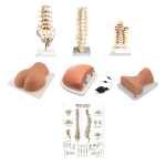 Complete Spinal Injection Kit_noscript