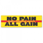 Banner "No Pain All Gain Safety Promotes Quality"_noscript