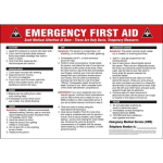 14" x 20" Plastic Poster: "Emergency First Aid"_noscript