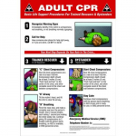 20" x 14" Plastic Poster: "Adult CPR"_noscript