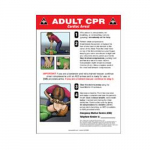 14" x 10" Safety Poster "Adult CPR ..."_noscript