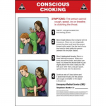 14" x 10" Aluminum Poster: "Conscious Choking"_noscript