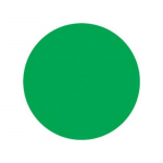 1" Diameter Magnetic Shape - Circle Green_noscript
