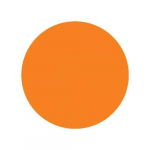1" Diameter Magnetic Shape - Circle Orange_noscript