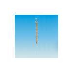 Syringe, 100uL Gas-Tight, Removable Needle_noscript