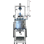 Ai 20L Jacketed Filter Glass Reactor, 220V