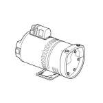 Pump & Motor Assembly (3/4 HP Motor)