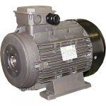 10 HP Electrical Motor