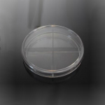 Petri Dish 100mm x 15mm X-Plate 4-Section_noscript