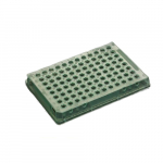 Sapphire 96 Well PCR Plate, Non-Skirted