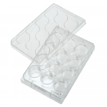 12 Well Tissue Culture Plate with Lid