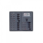 AC Circuit Breaker Panel with Analog Meters