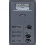AC Circuit Breaker Panel with Analog Meter