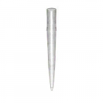 Eppendorf Pipet Tip 101-1000 Microliters - Racked