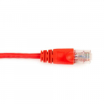 CAT6 Patch Cable, UTP