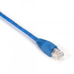CAT5e 350-MHz Backbone Cable, Blue, 50-ft