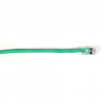 EYN9 Series CAT6 Backbone Cable, Green, 2-ft_noscript