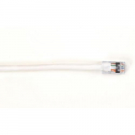 EYN9 Series CAT6 Backbone Cable, White, 20-ft_noscript