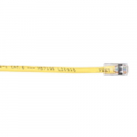EYN9 Series CAT6 Backbone Cable, 35-ft_noscript
