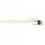 EYN9 Series CAT6 Backbone Cable, White, 50-ft_noscript