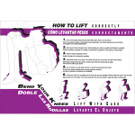 29" x 20" Wall Chart "How to Lift Correctly"_noscript