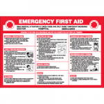 29" x 20" Wall Chart "Emergency First Aid", Vinyl_noscript