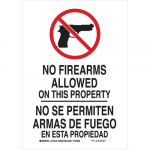 No Firearms Allowed On This Property Sign_noscript