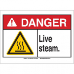 10" x 14" Aluminum ANSI Sign, Legend: Live Steam_noscript
